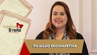 Explica Direito Filiação Socioafetiva  2019 [upl. by Nylloh214]