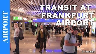 TRANSIT WALK AT FRANKFURT Airport FRA Terminal 1  Connection Flight Transfer Arriving amp Departing [upl. by Goldman]